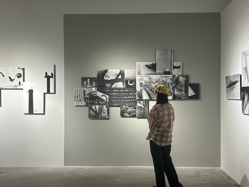 本届共展出25场展览    主办方供图