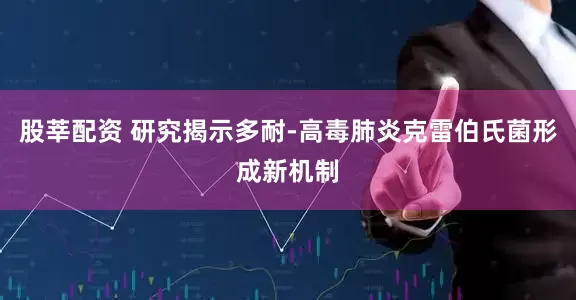 股莘配资 研究揭示多耐-高毒肺炎克雷伯氏菌形成新机制