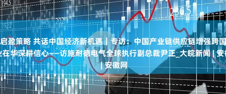 启盈策略 共话中国经济新机遇｜专访：中国产业链供应链增强跨国企业在华深耕信心——访施耐德电气全球执行副总裁尹正_大皖新闻 | 安徽网