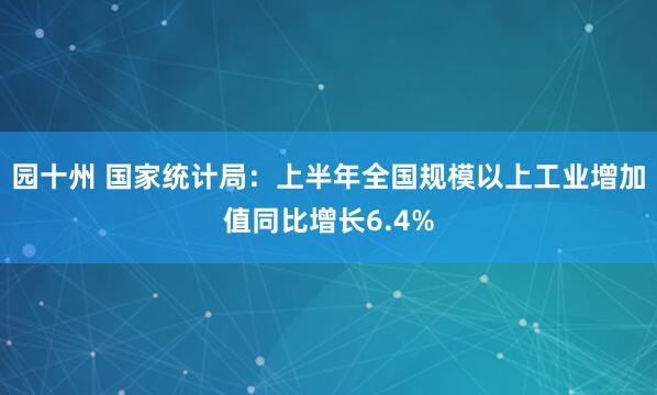 园十州 国家统计局：上半年全国规模以上工业增加值同比增长6.4%