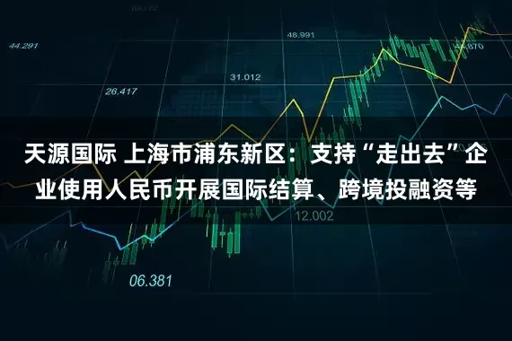天源国际 上海市浦东新区：支持“走出去”企业使用人民币开展国际结算、跨境投融资等